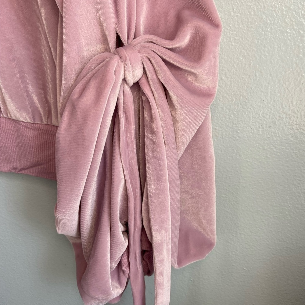 Express‎ Blush Velvet Sweatshirt - Picture 4 of 5